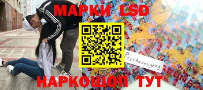 СК Волгодонск