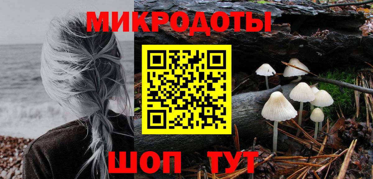 Псилоцибиновые грибы Psilocybine cubensis Нижний Тагил