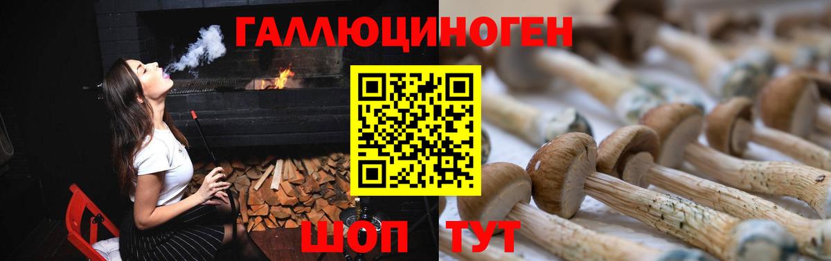 Галлюциногенные грибы прущие грибы  Псилоцибиновые грибы прущие грибы  Нижний Тагил  Вход с VPN 